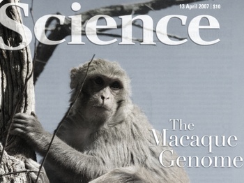 Evolutionary and biomedical insights from the rhesus macaque genome