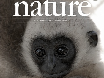 Gibbon genome and the fast karyotype evolution of small apes
